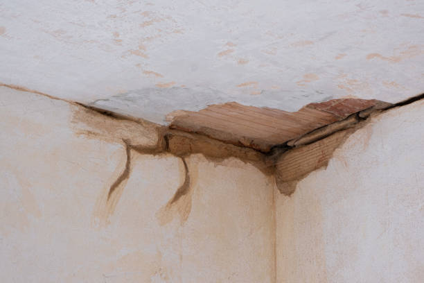Best Fire Damage Restoration  in Sandy Springs, GA