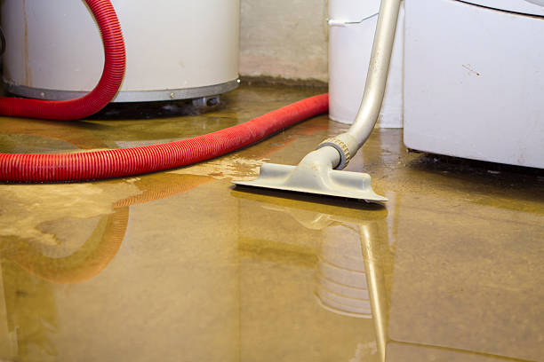 Best Flood restoration services  in Sandy Springs, GA
