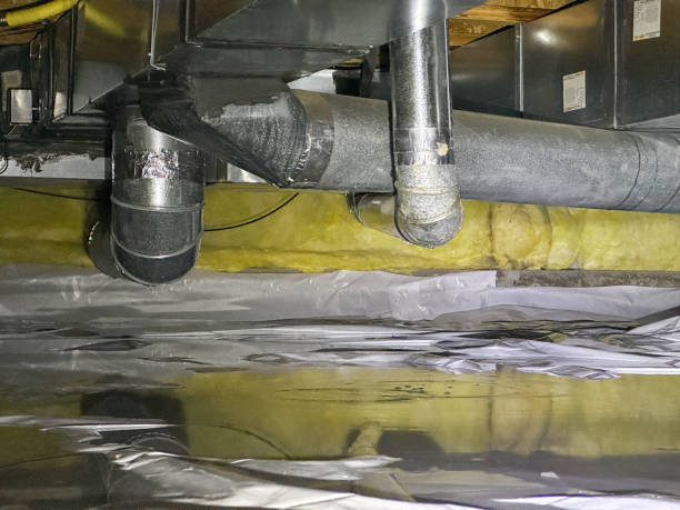 Best Professional water damage repair  in Sandy Springs, GA