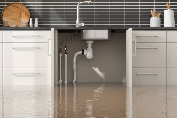 Best Sewage cleanup and water damage restoration  in Sandy Springs, GA